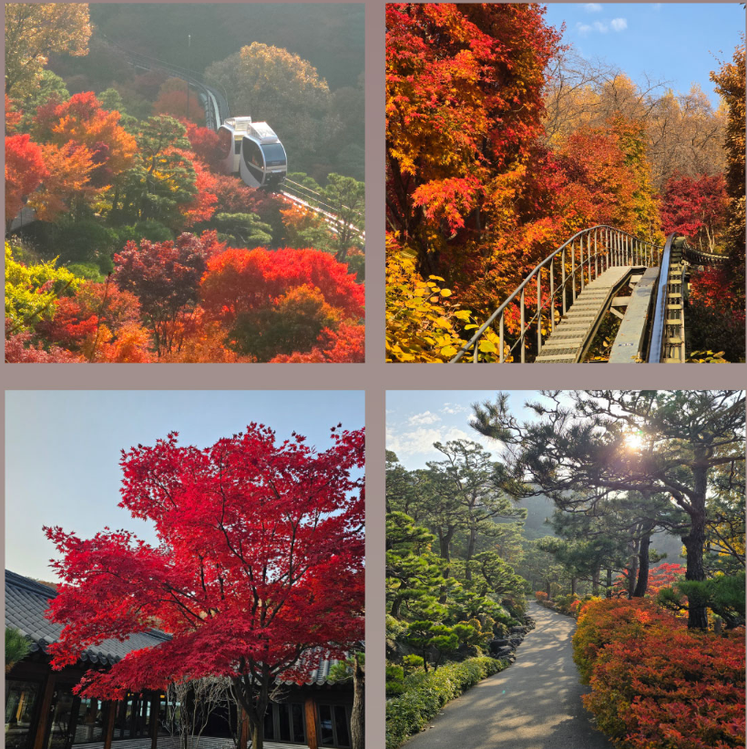 경기도 단풍명소 화담숲 가을단풍